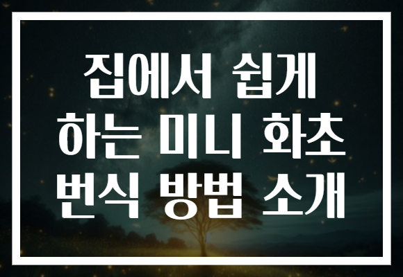 집에서 쉽게 하는 미니 화초 번식 방법 소개