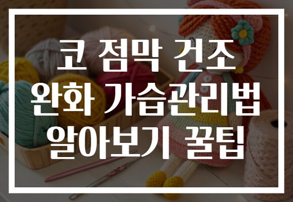 코 점막 건조 완화 가습관리법 알아보기 꿀팁