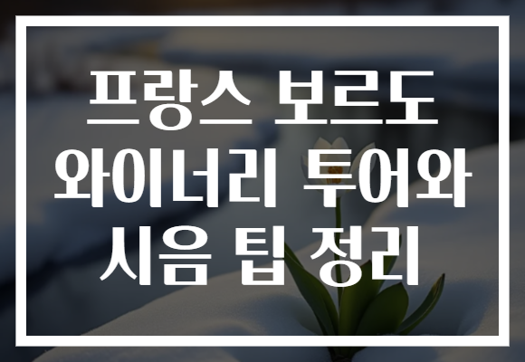 프랑스 보르도 와이너리 투어와 시음 팁 정리