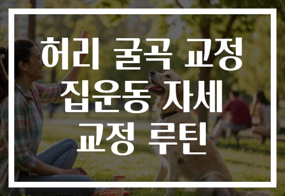 허리 굴곡 교정 집운동 자세 교정 루틴