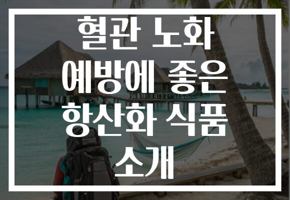 혈관 노화 예방에 좋은 항산화 식품 소개