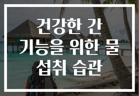 건강한 간 기능을 위한 물 섭취 습관