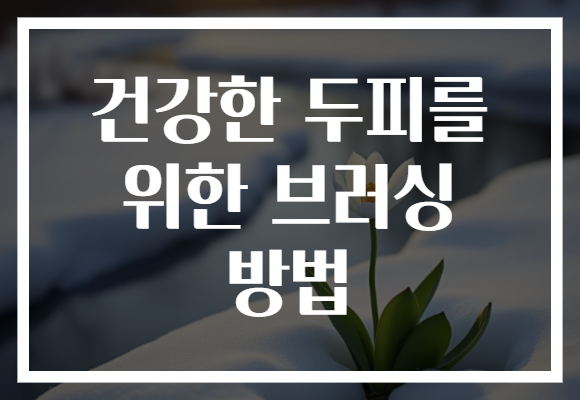 건강한 두피를 위한 브러싱 방법