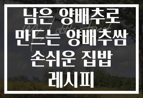 남은 양배추로 만드는 양배추쌈 손쉬운 집밥 레시피