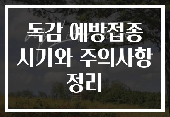 독감 예방접종 시기와 주의사항 정리
