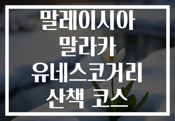 말레이시아 말라카 유네스코거리 산책 코스