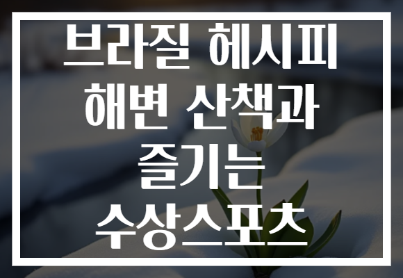 브라질 헤시피 해변 산책과 즐기는 수상스포츠
