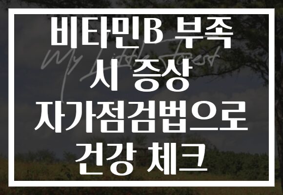 비타민B 부족 시 증상 자가점검법으로 건강 체크