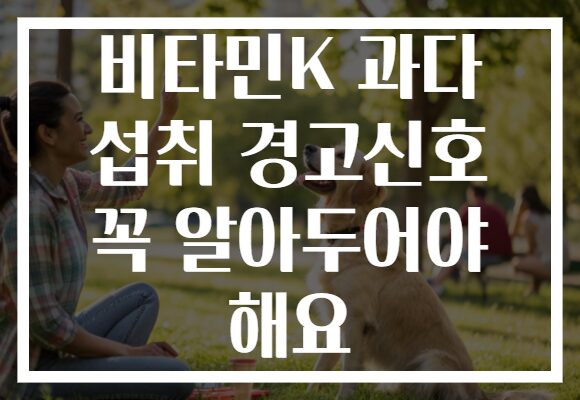 비타민K 과다 섭취 경고신호 꼭 알아두어야 해요