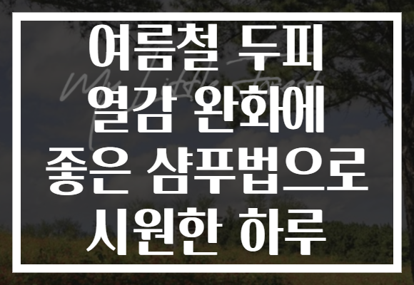여름철 두피 열감 완화에 좋은 샴푸법으로 시원한 하루