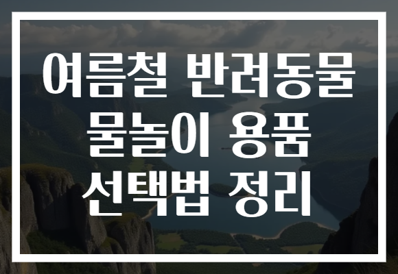 여름철 반려동물 물놀이 용품 선택법 정리