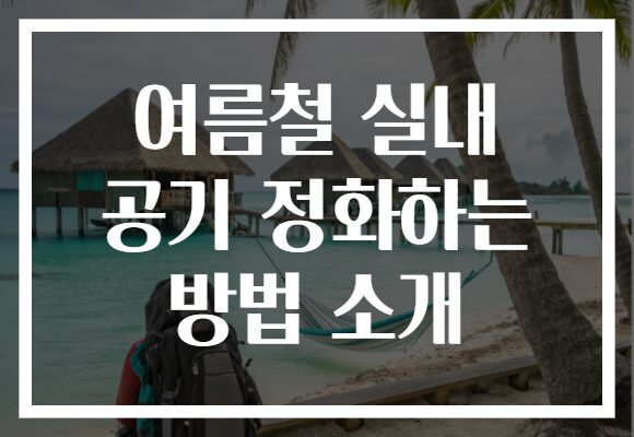 여름철 실내 공기 정화하는 방법 소개