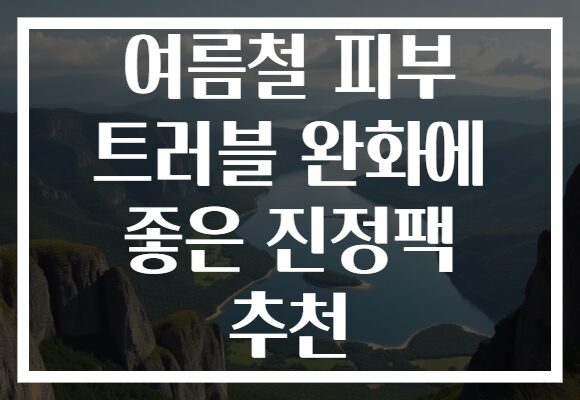 여름철 피부 트러블 완화에 좋은 진정팩 추천