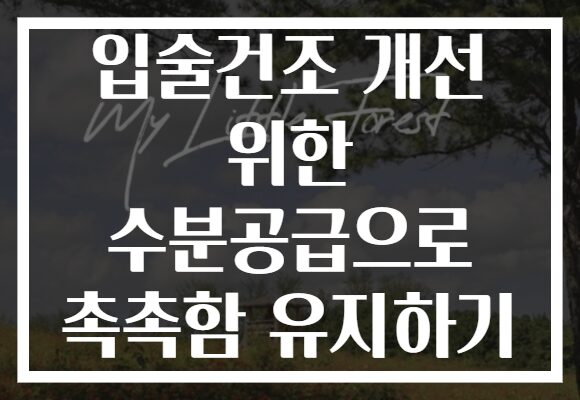 입술건조 개선 위한 수분공급으로 촉촉함 유지하기