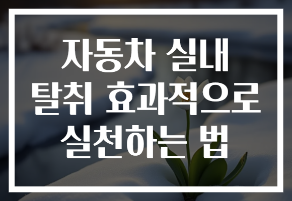 자동차 실내 탈취 효과적으로 실천하는 법