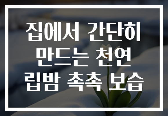 집에서 간단히 만드는 천연 립밤 촉촉 보습