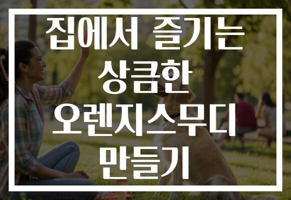 집에서 즐기는 상큼한 오렌지스무디 만들기