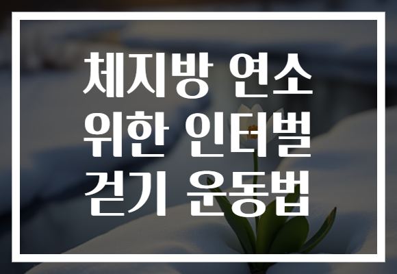 체지방 연소 위한 인터벌 걷기 운동법