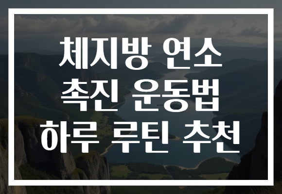 체지방 연소 촉진 운동법 하루 루틴 추천