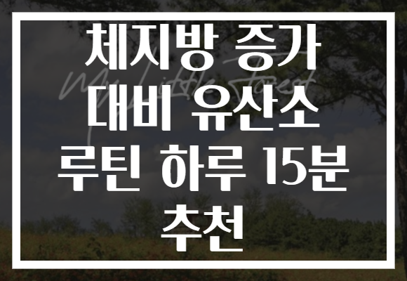 체지방 증가 대비 유산소 루틴 하루 15분 추천