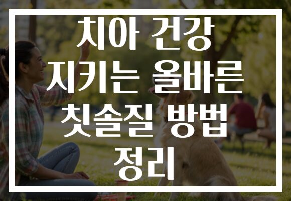치아 건강 지키는 올바른 칫솔질 방법 정리