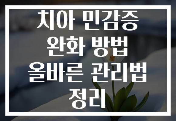 치아 민감증 완화 방법 올바른 관리법 정리