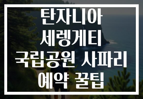 탄자니아 세렝게티 국립공원 사파리 예약 꿀팁