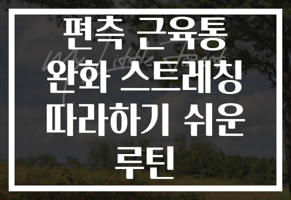 편측 근육통 완화 스트레칭 따라하기 쉬운 루틴