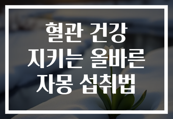 혈관 건강 지키는 올바른 자몽 섭취법
