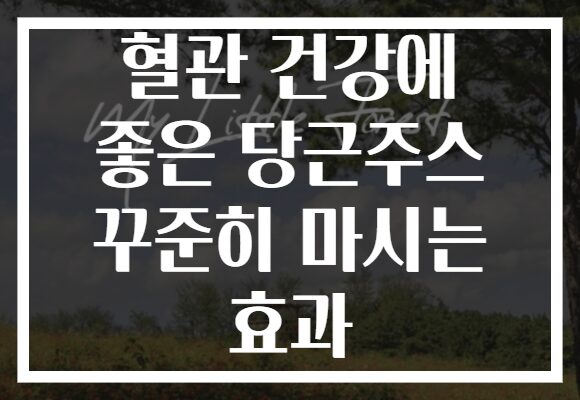 혈관 건강에 좋은 당근주스 꾸준히 마시는 효과