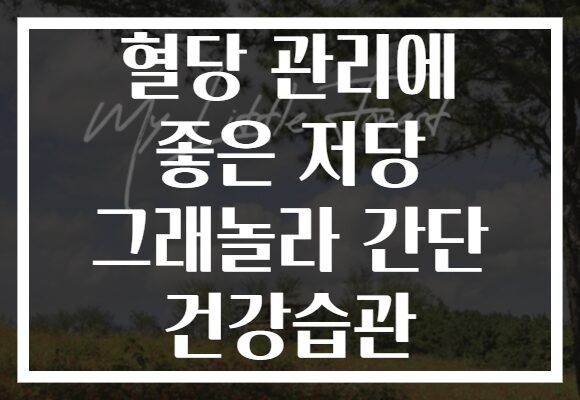 혈당 관리에 좋은 저당 그래놀라 간단 건강습관