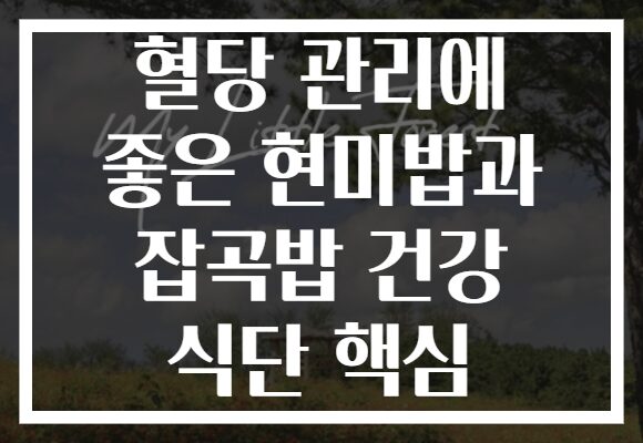 혈당 관리에 좋은 현미밥과 잡곡밥 건강 식단 핵심