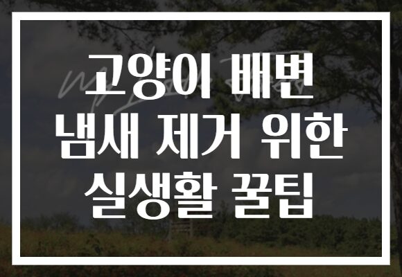 고양이 배변 냄새 제거 위한 실생활 꿀팁