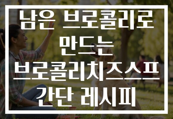 남은 브로콜리로 만드는 브로콜리치즈스프 간단 레시피