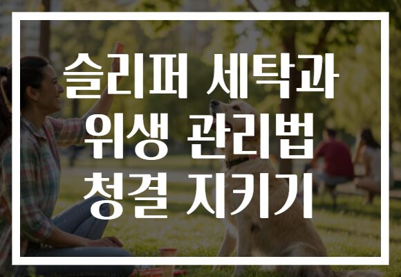 슬리퍼 세탁과 위생 관리법 청결 지키기
