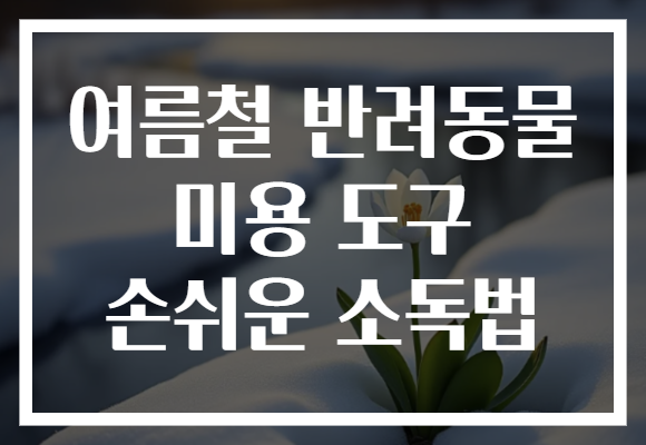 여름철 반려동물 미용 도구 손쉬운 소독법