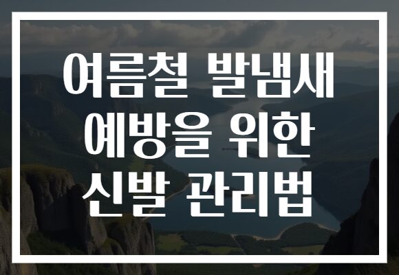 여름철 발냄새 예방을 위한 신발 관리법