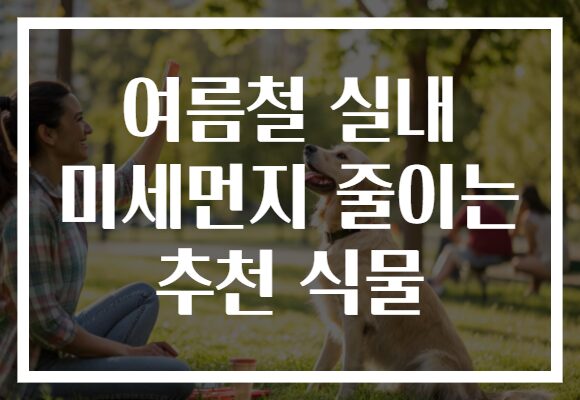 여름철 실내 미세먼지 줄이는 추천 식물