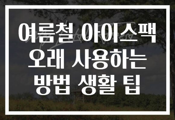 여름철 아이스팩 오래 사용하는 방법 생활 팁