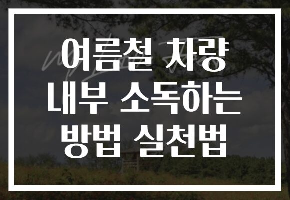여름철 차량 내부 소독하는 방법 실천법