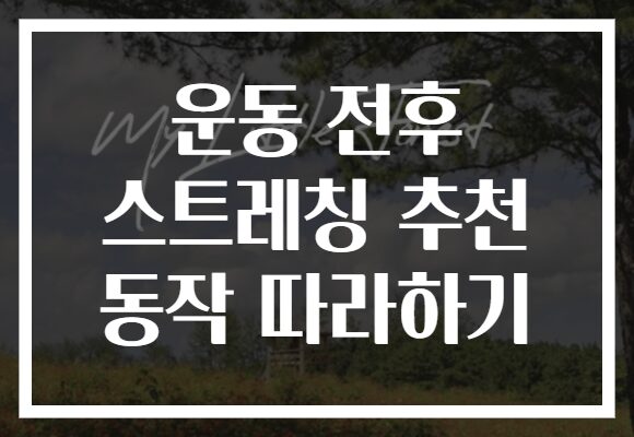 운동 전후 스트레칭 추천 동작 따라하기