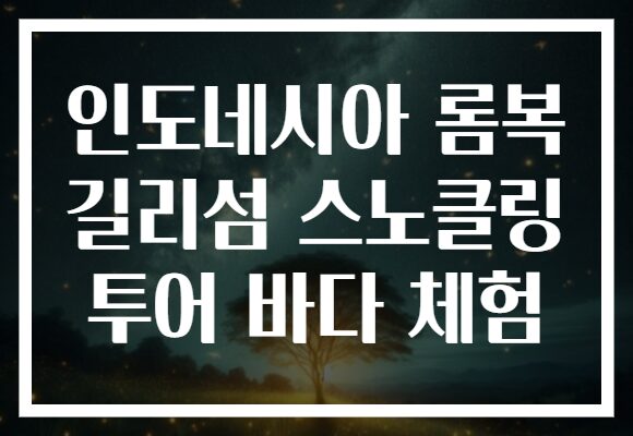 인도네시아 롬복 길리섬 스노클링 투어 바다 체험