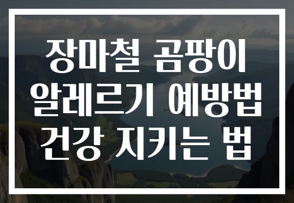 장마철 곰팡이 알레르기 예방법 건강 지키는 법