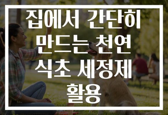 집에서 간단히 만드는 천연 식초 세정제 활용