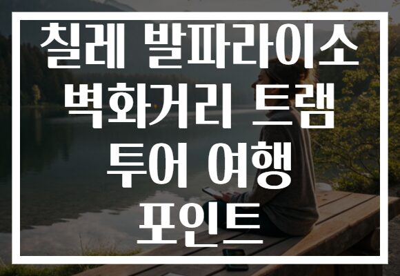 칠레 발파라이소 벽화거리 트램 투어 여행 포인트