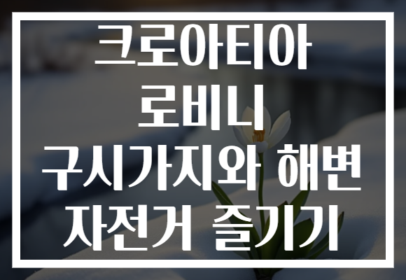 크로아티아 로비니 구시가지와 해변 자전거 즐기기