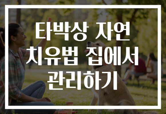 타박상 자연 치유법 집에서 관리하기