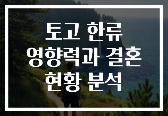 토고 한류 영향력과 결혼 현황 분석