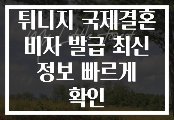 튀니지 국제결혼 비자 발급 최신 정보 빠르게 확인