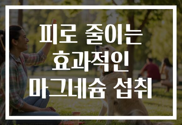 피로 줄이는 효과적인 마그네슘 섭취